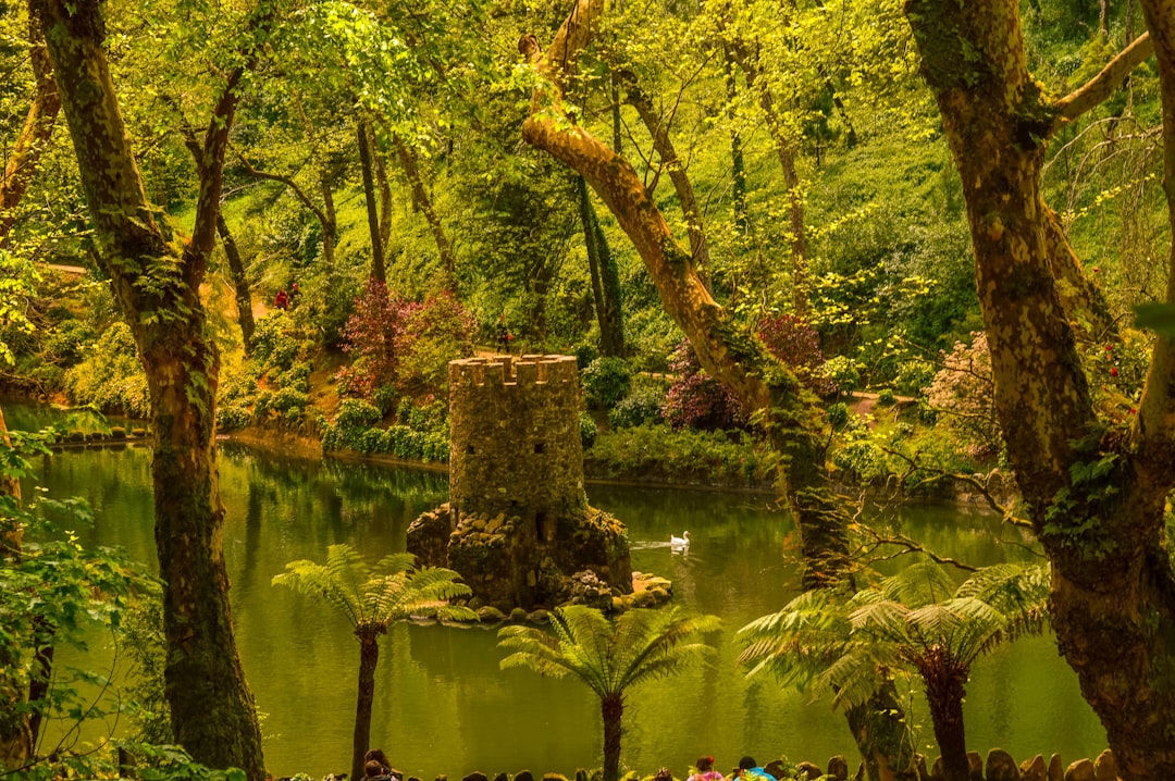 Eco-Friendly Escapes: Sustainable Travel for a Greener Future