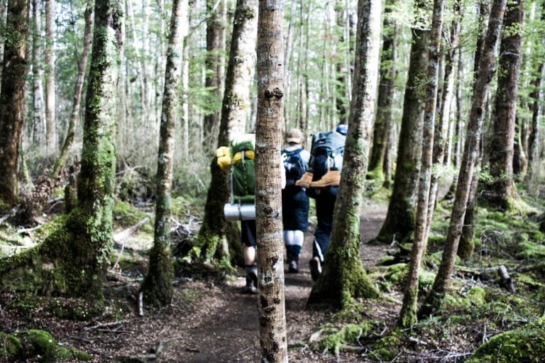 Unleashing Your Inner Explorer: Embracing Adventure in Outdoor Travel