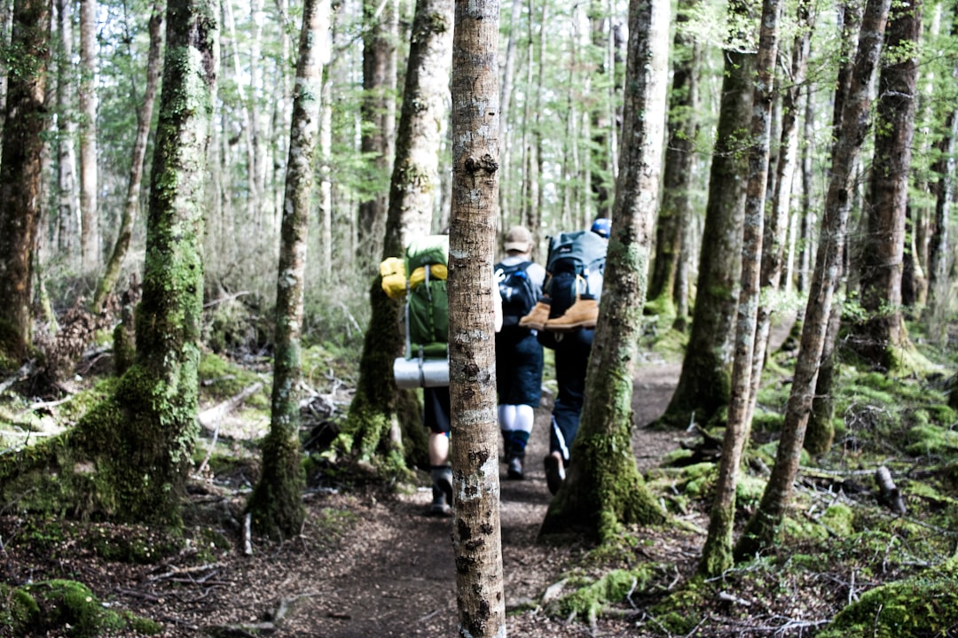 Unleashing Your Inner Explorer: Embracing Adventure in Outdoor Travel